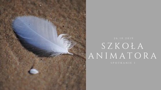 plakat szkoła animatora 1 2019